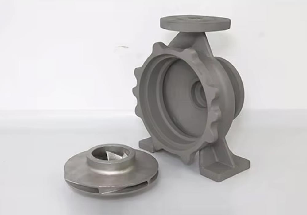 Pumps Casting